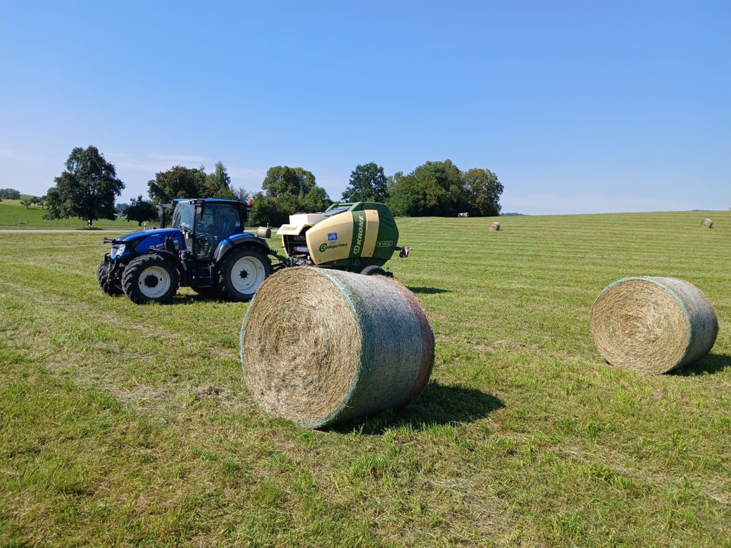 ce8cbb47-f985-4dda-8530-cc1658e5441e-WhatsApp Image 2025-08-11 at 17.jpg