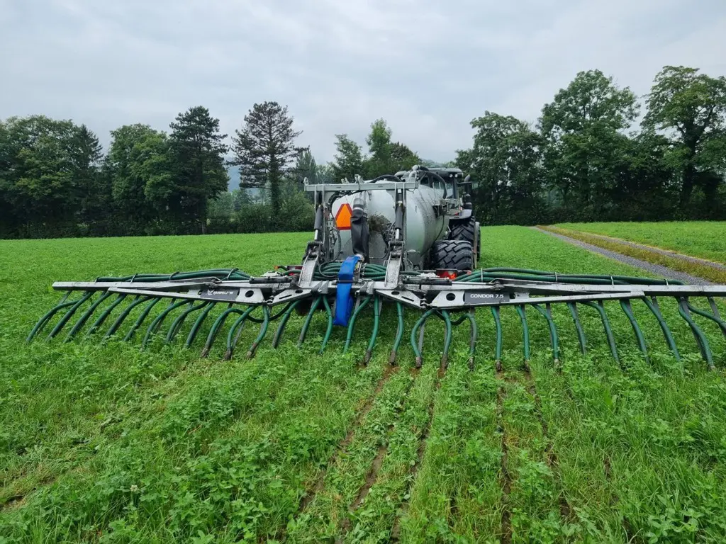 3f10383c-106b-448a-8b7b-b5286848f86f-WhatsApp Image 2025-12-24 at 07.jpg