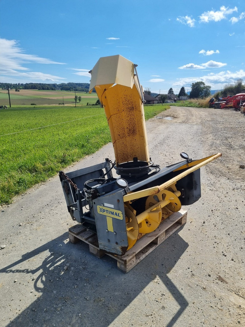 37545411-1d17-46d1-8a0b-387e0f188279-Trejon (5).jpg