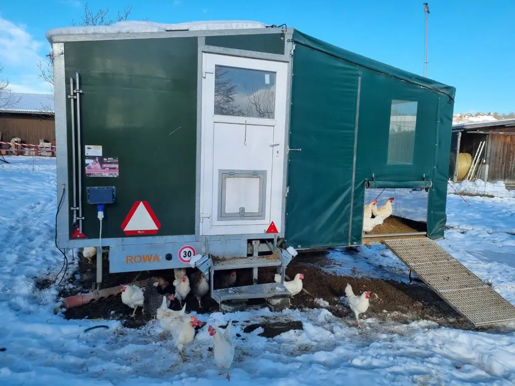 cd97543b-bfcc-48c3-ac23-3444104e874d-WhatsApp Image 2026-04-13 at 10.jpg