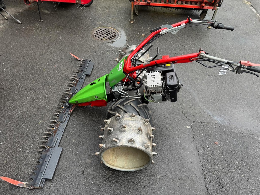 4e3fee15-1da7-4001-b0b5-28a60486d199-Rapid Swiss 10007942 4.png