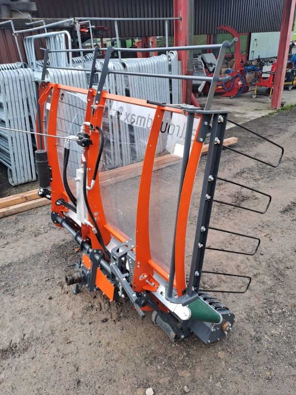 2ae6f4a7-3975-4256-ab13-dd30eacf59cb-WhatsApp Bild 2024-10-24 um 09.jpg