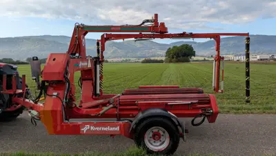 Quaderballenwickler / Erubanneuse Kverneland