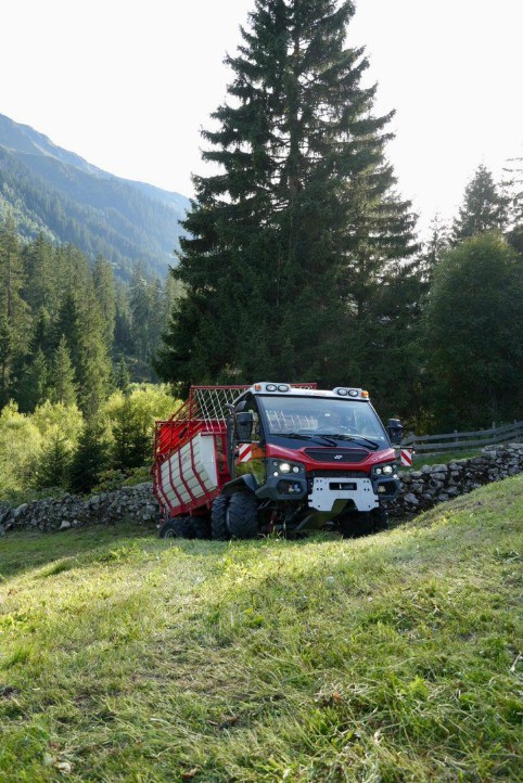 fb479a25-5136-401b-ba05-5b6e69ea5081-WhatsApp Bild 2025-10-27 um 17.jpg