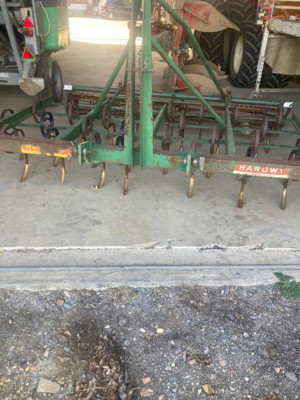 Haruwy Kulturegge / Garegge / Federzahnegge / Hack