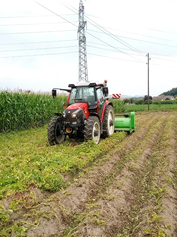 Lindner Lintrac Pflegetraktor Stufenlos