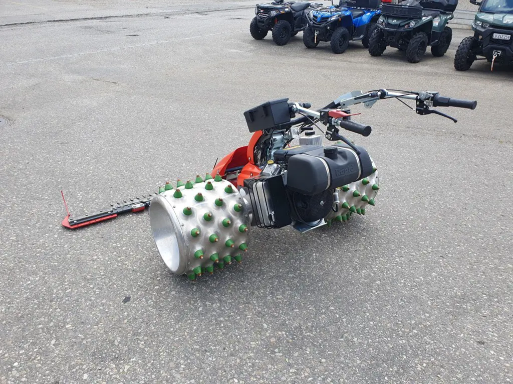 15b8ab1b-fc57-4402-8362-d32c194c1f58-20250515_150649.jpg