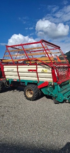 0a33ca9e-ae0d-49a2-a9df-01193adea51e-lüö7 20250729_173124.jpg