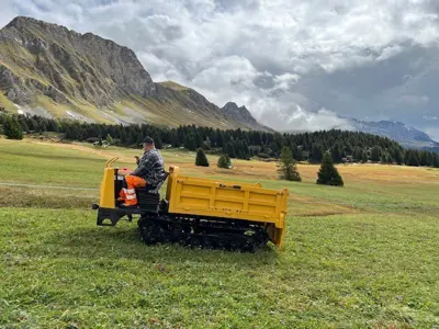 Raupenkipper 3to Ladegewicht