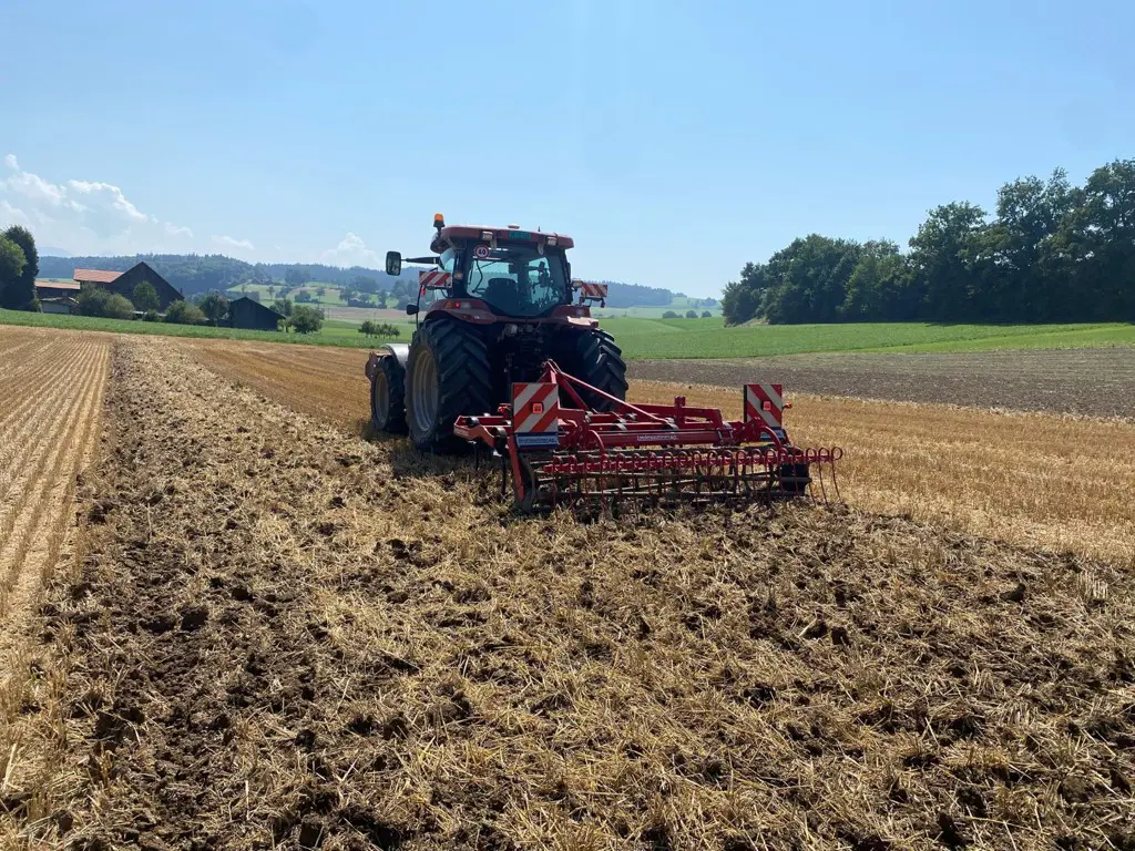 be8e3b9b-0578-4344-b891-a5567c3a3f11-WhatsApp Bild 2025-08-12 um 14.jpg