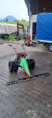 Rapid Rex Motormäher