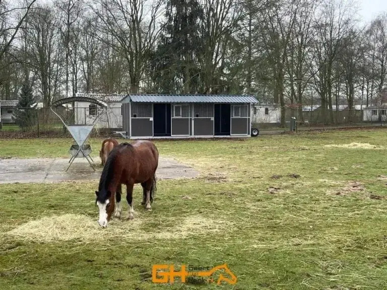 a976c22e-19ae-4ef9-87e2-48dbb9439aa8-Mobiler Pferdestall  Aussenstall  Unterstand für Pferde - LMB Maschinen GmbH 4.jpg