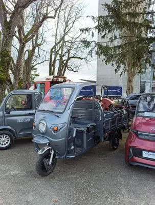 Cargo Runner Classic Dach Elektrofahrzeug Elektro 3 Rad