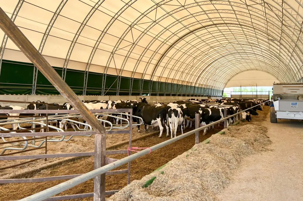 c3b5912d-2156-403c-b7a9-bec384cc8c85-Hallen (24).jpg