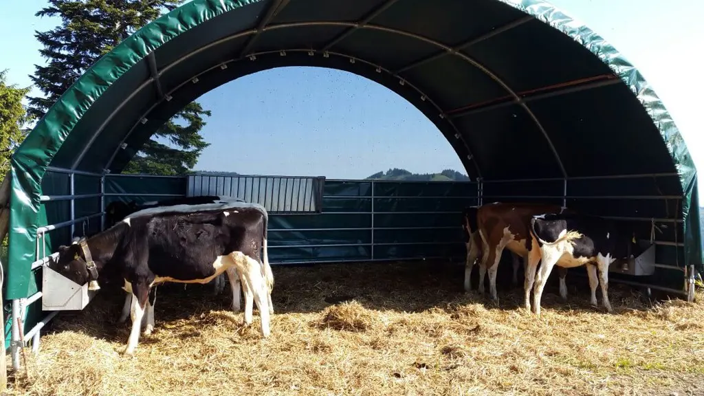 6baa85d6-f96c-4268-b5c5-c4a2a2507271-Weideunterstand 6x6 m (28).jpg