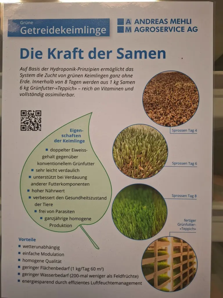 foto_3.jpg