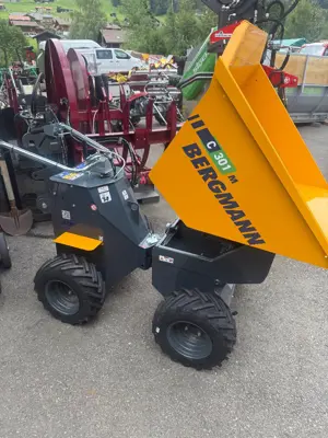 Dumper  Bergmann