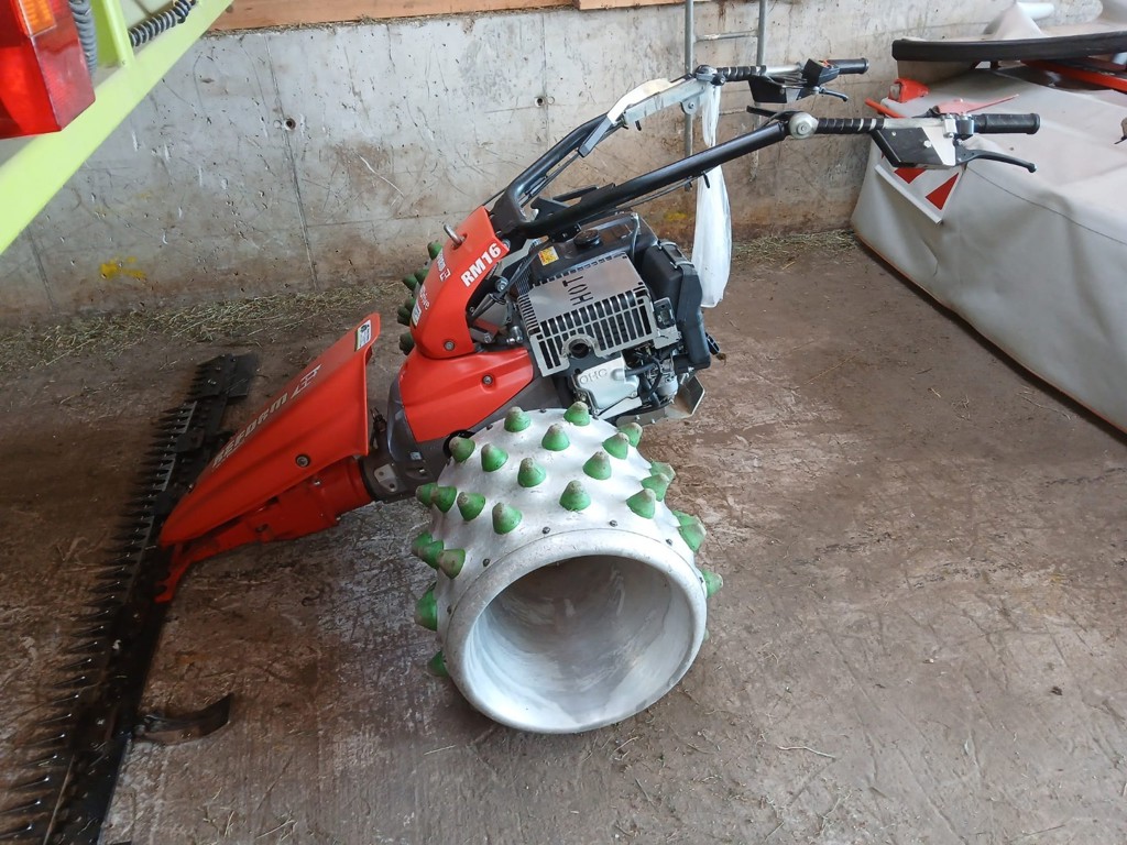 31cca825-154c-4241-b4f1-407da5eb8fa2-Immagine WhatsApp 2025-09-22 ore 17.jpg