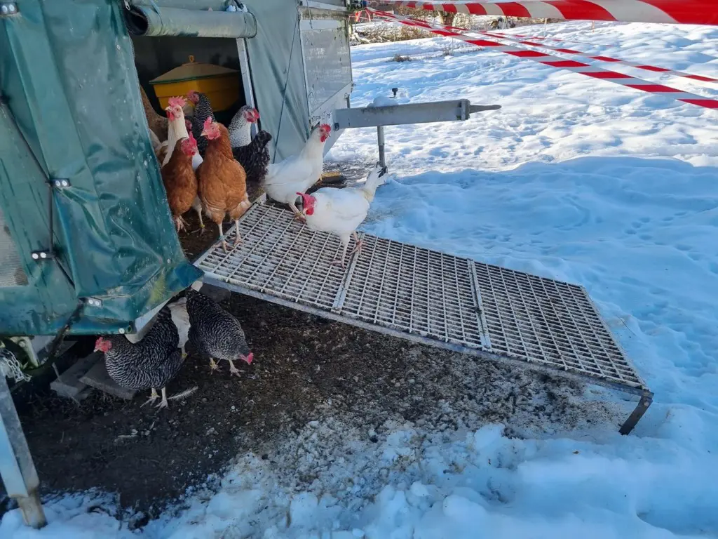 3a50c08f-2c93-4007-8bb9-5c82925e0b23-WhatsApp Image 2026-04-13 at 10.32.24 (2).jpg