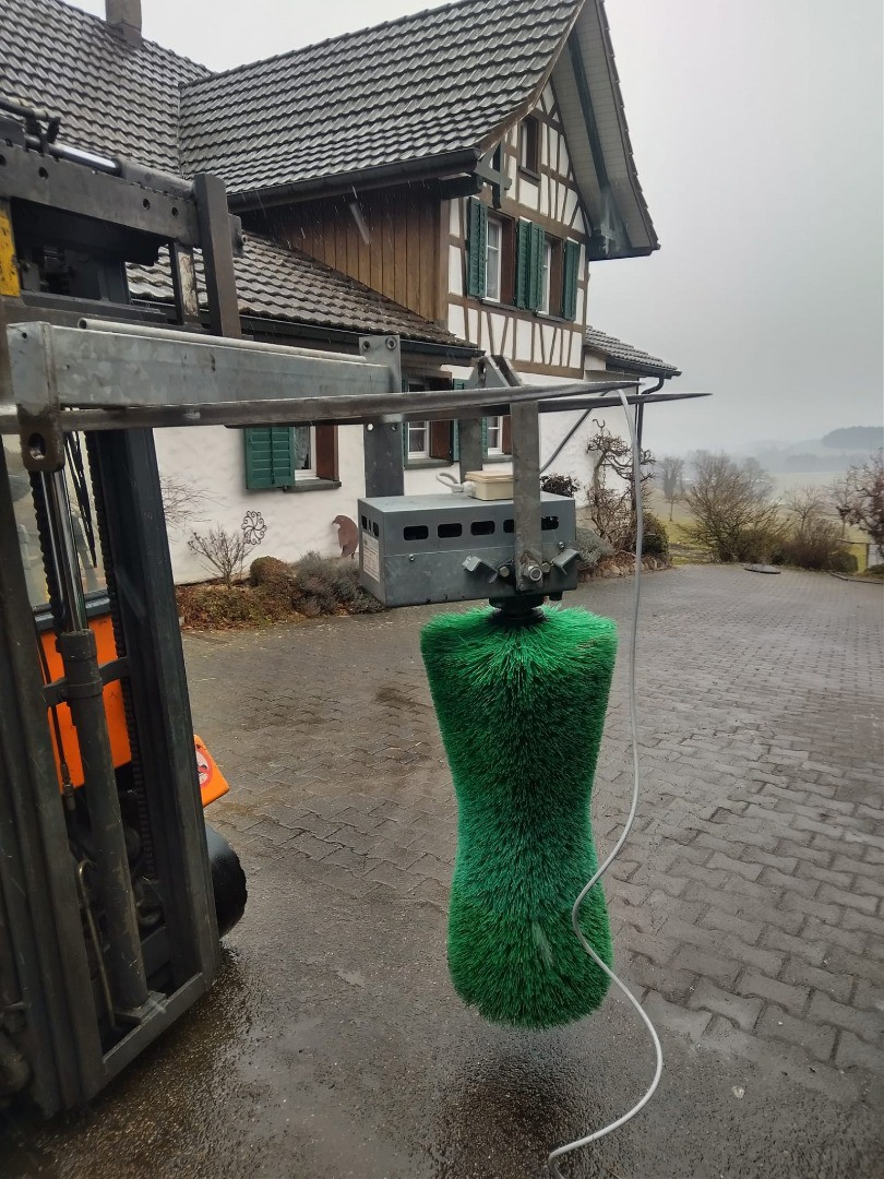 ad8fec35-84d4-446d-82ab-8d23afa89726-Pendelbüste grün (3).jpg