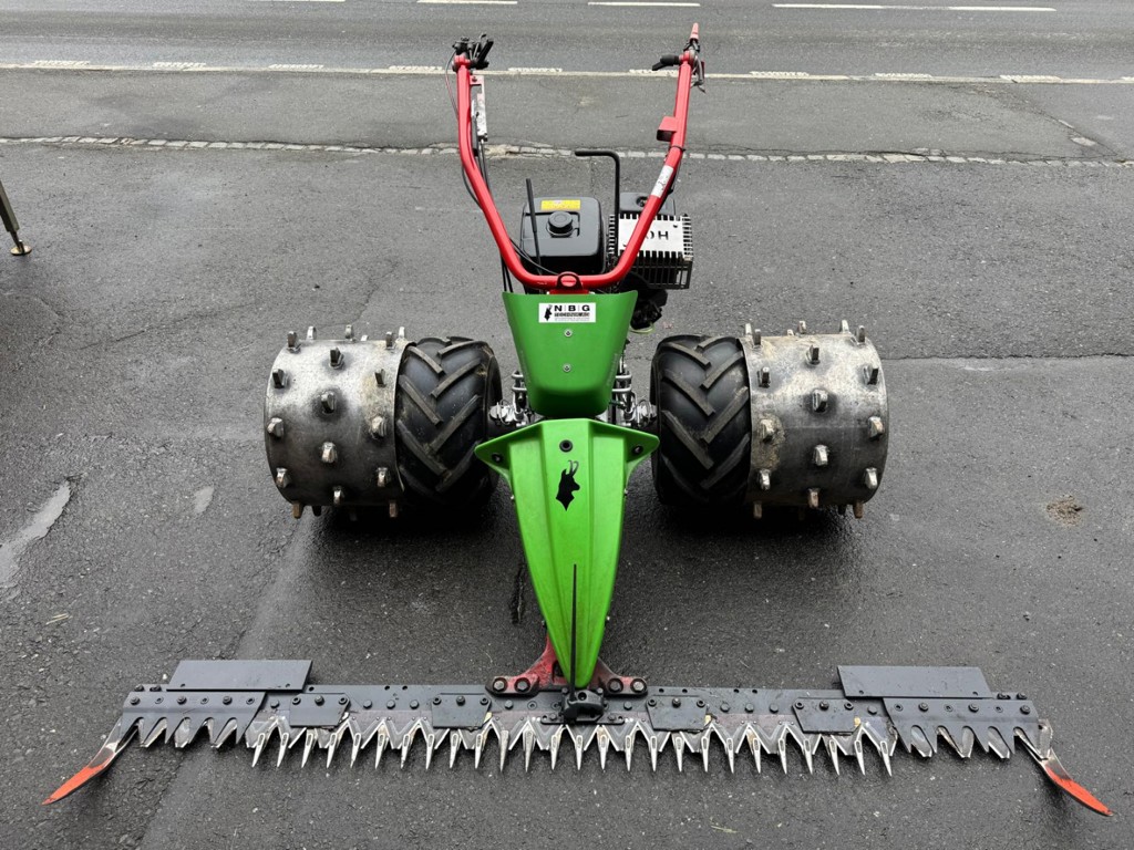 3c747095-2f09-4d59-a35b-1e289e2722a4-Rapid Swiss 10007942 1.png