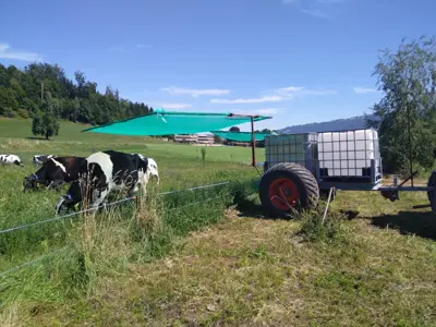Tränkefass