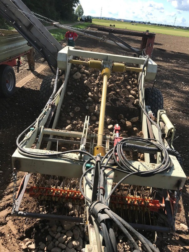 0ef14337-8a78-46c6-a079-646450ea2fcb-WhatsApp Bild 2025-09-13 um 11.jpg