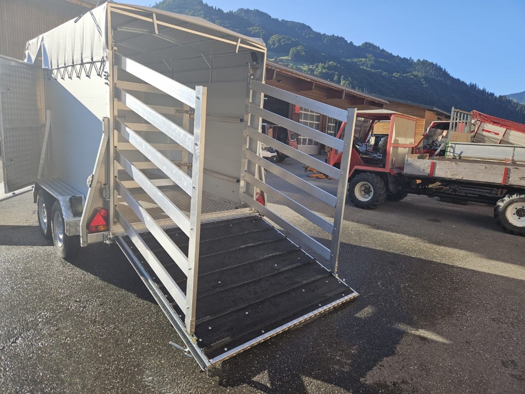 8d4f0c3b-de5b-445d-80bf-58b4552716fe-WhatsApp Bild 2024-09-18 um 17.jpg