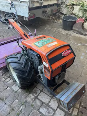 Goldini Special 140