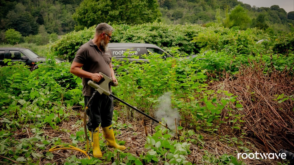 c6e74385-0fd9-4940-9921-e02855a4ab20-Japanese Knotweed RWP and van - logo.jpg
