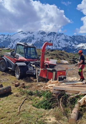 Entrindungsmaschine Deinhammer Neuhauser R1-K500 Holz schälen und professionell Baumstämme entrinden