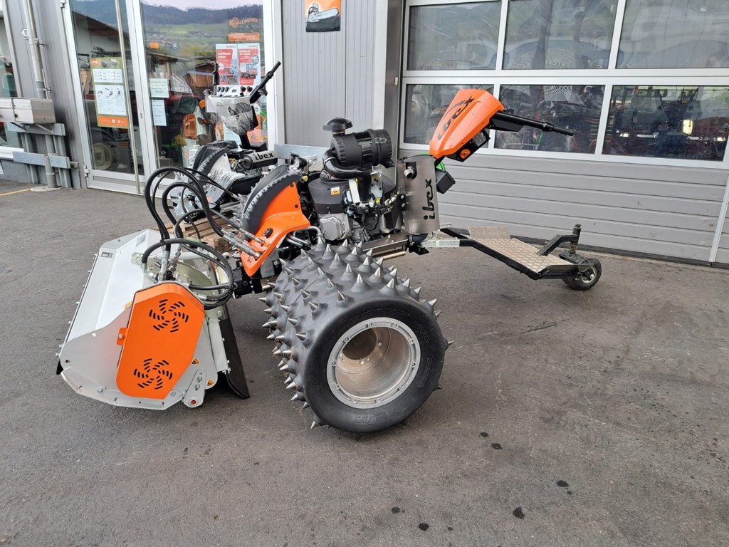 7f2b5c46-d780-415e-9de2-ed3ae37b52ca-WhatsApp Bild 2025-10-16 um 11.jpg