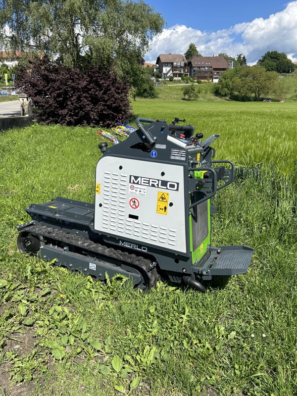 f9025da3-08f1-422a-88d9-ab8d72f3e926-Cingo M4.3 1.jpg