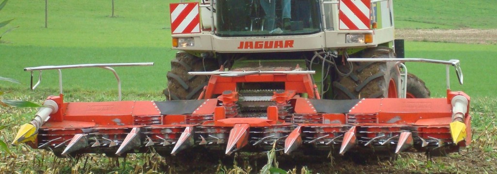 c59c1394-468f-4038-b98f-94311c1e5724-05.05.2013 146.jpg