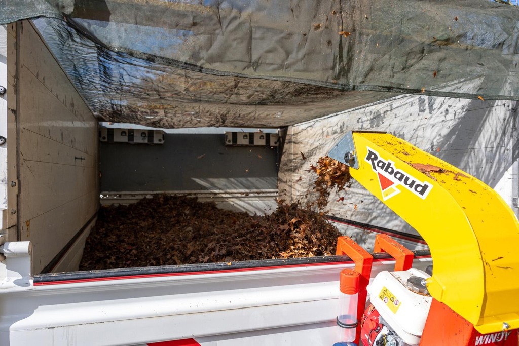 c20b3a1c-dbc3-42cf-ba7f-972bd9529e64-Windy 286 RL_4.jpg