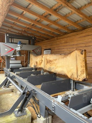 Bandsägewerk TTP 600 PREMIUM  11 kW