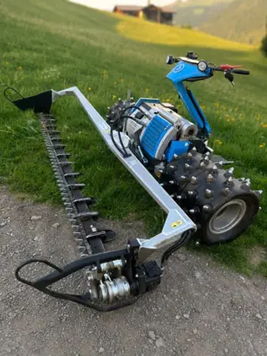 Motormäher Brielmaier 29 EFI Upgrade