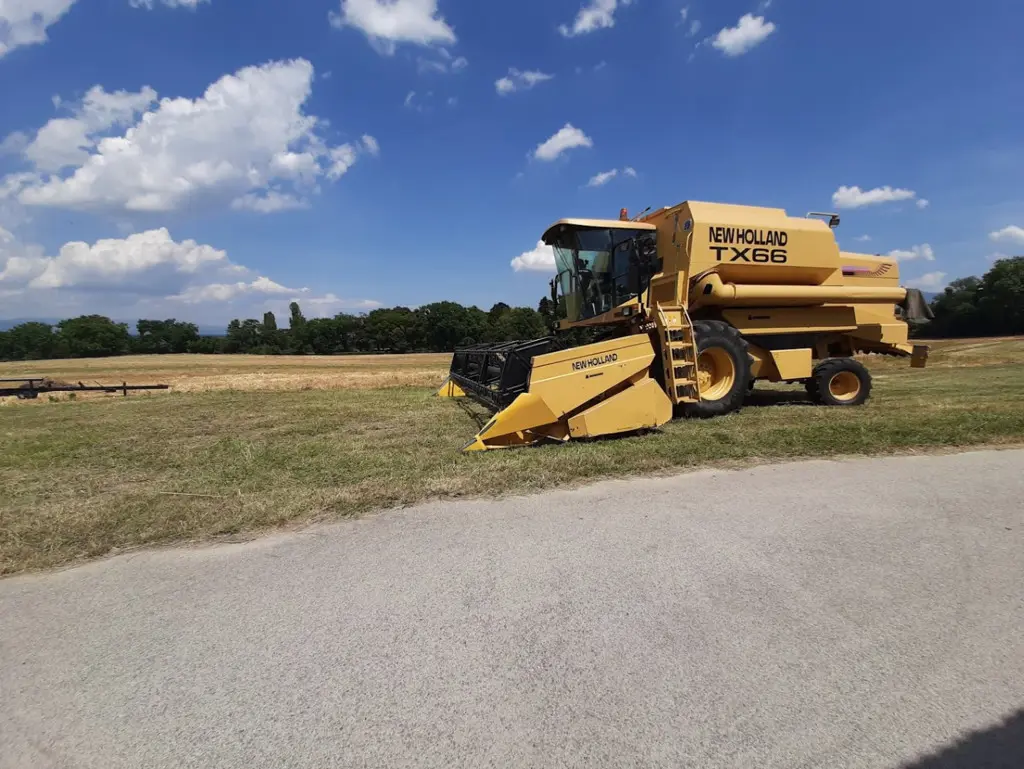 c7ece66f-60d8-441f-bc37-4c26a291a0d4-TX66 b.jpg