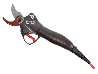 Schere Zanon Tiger SL 38