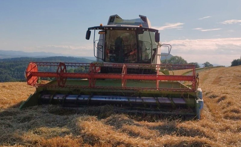 bee2d525-74dc-484b-aa5a-0124b4729230-Einsatz 2.jpg