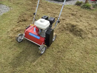 05ca9f87-093f-4141-93d2-cda143b1358b-vertikutierer 4.jpg