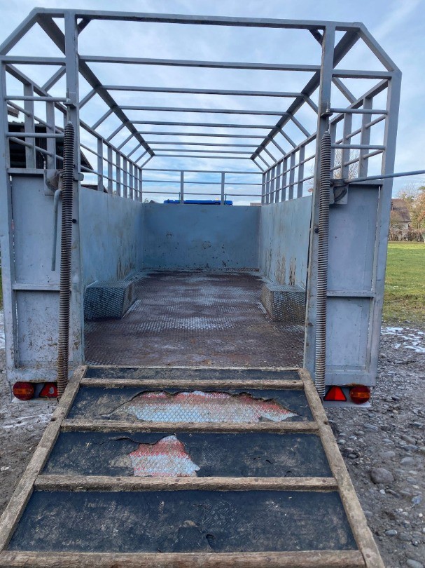 2f353225-f154-4b13-bd0a-d834091bf534-WhatsApp Image 2026-01-14 at 21.jpg