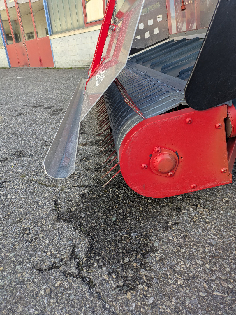 20406d1f-d04d-465b-9a1c-7dceabda3e21-WhatsApp Bild 2025-10-13 um 12.jpg