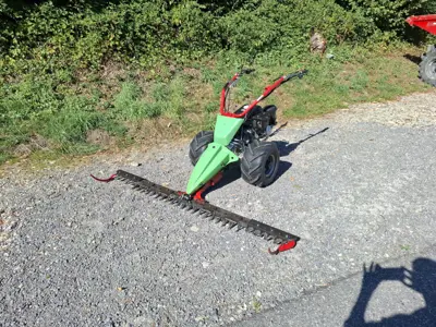 Rapid Swiss mit neuen Motor und 1.9m Balken