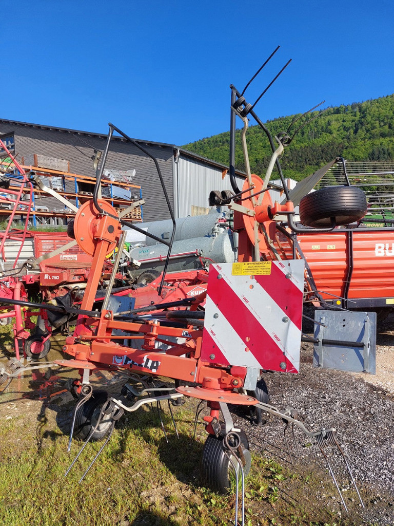 ef79eb15-6ee1-4be4-ae43-8780cde287ed-Fella Lüdi (1).jpg