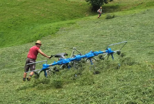 22e377f8-1095-4f84-9125-c43748f01e8d-