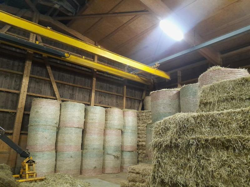 dc33efb7-4694-4dd5-b03d-28e46d417fcb-GACH Nr. 6.jpg