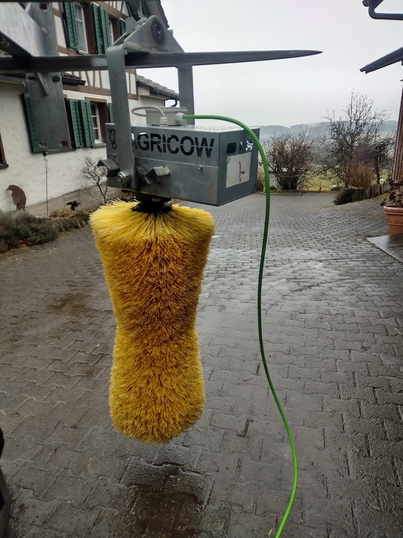 d4397948-cb90-4a38-97a3-3d6cb2db2dd2-Pendelbürste gelb 1 (7).jpg