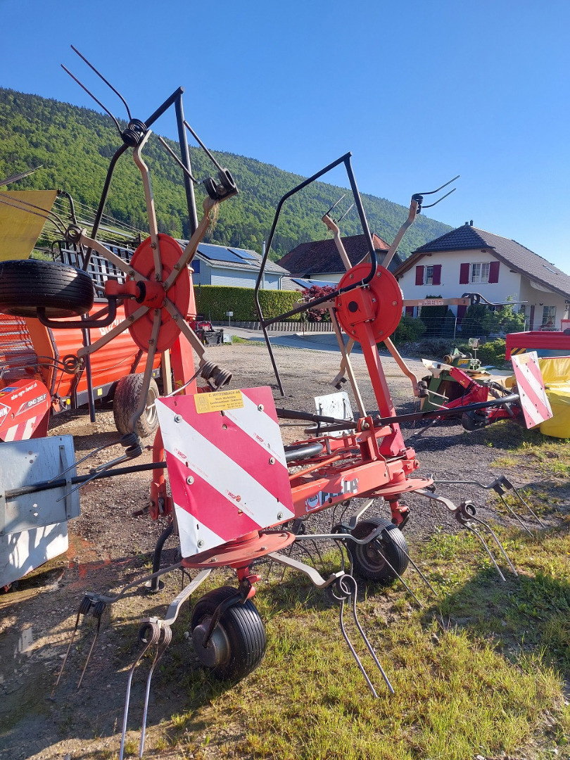 424432f6-b3da-45f1-bfec-4521bbadfe3a-Fella Lüdi (4).jpg