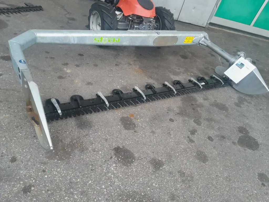 fdd6da99-e17e-45e5-bbe3-f8b11fe9fd7b-20261001_182705.jpg